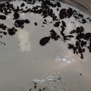 Croque Nougat Blanc aux Fèves de Cacao 95 g